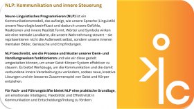 Meta Coaching System (9)