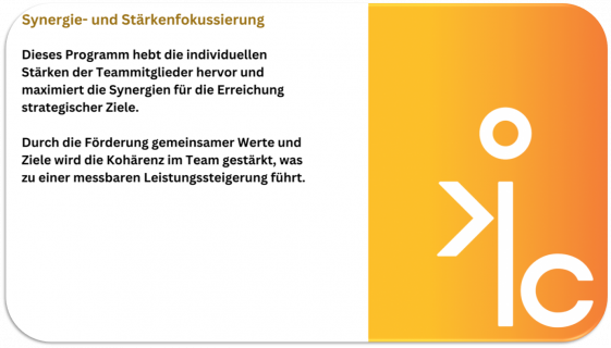 Team Coaching 3