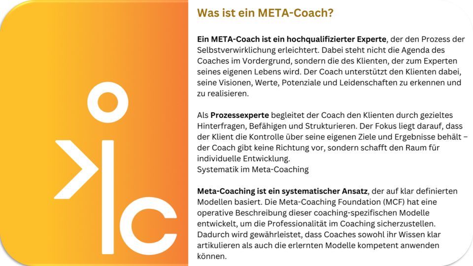 Meta Coaching System (2)